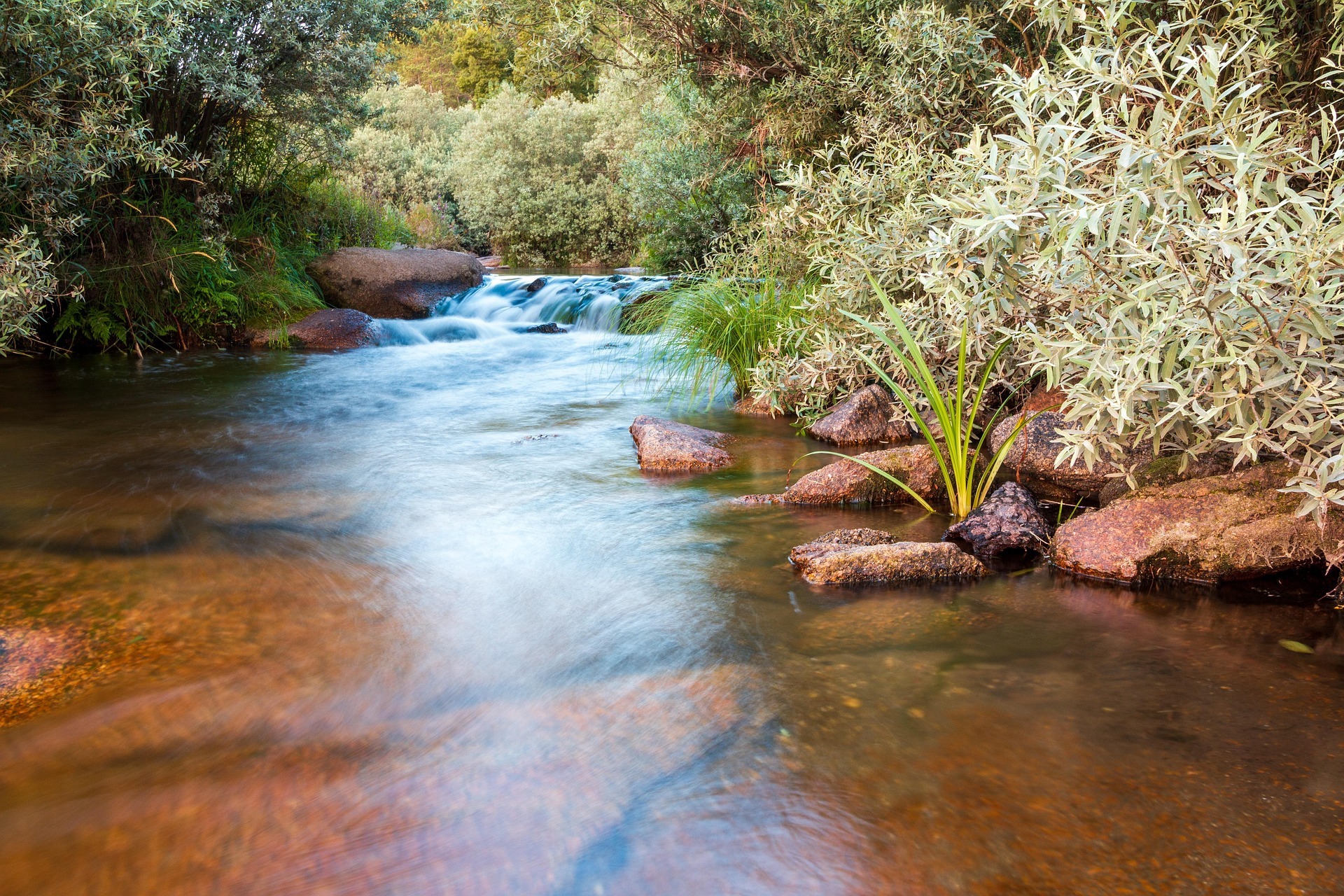 Camping Near Water: What Scouts Should Know