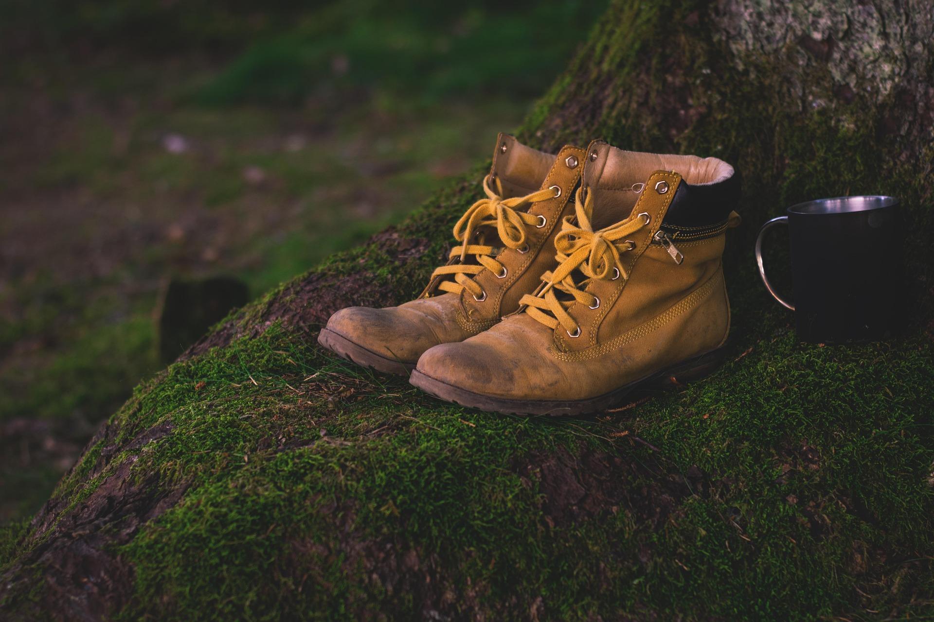 Young people planning and navigating an advanced outdoor expedition