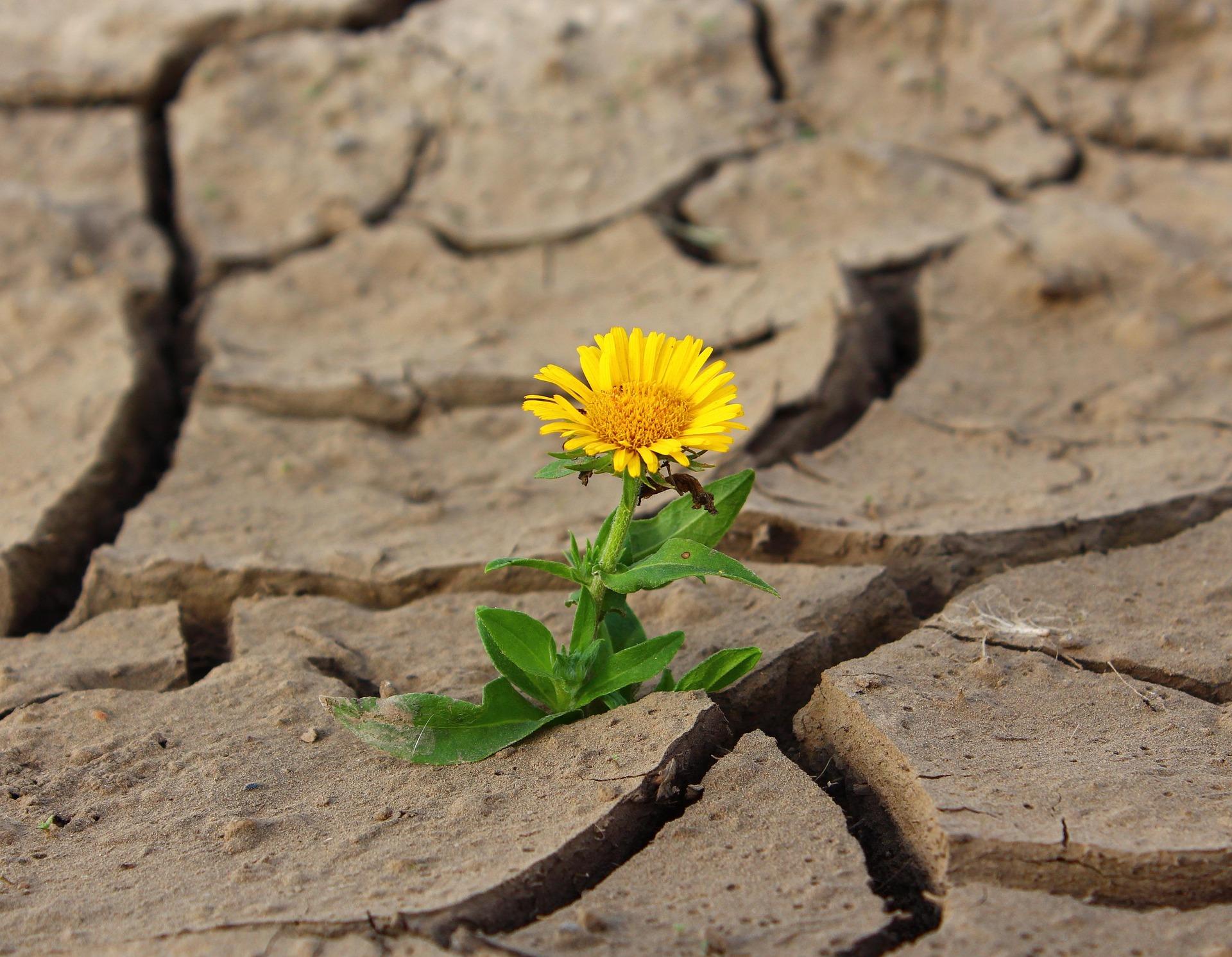 How to Recognise Dehydration Outdoors