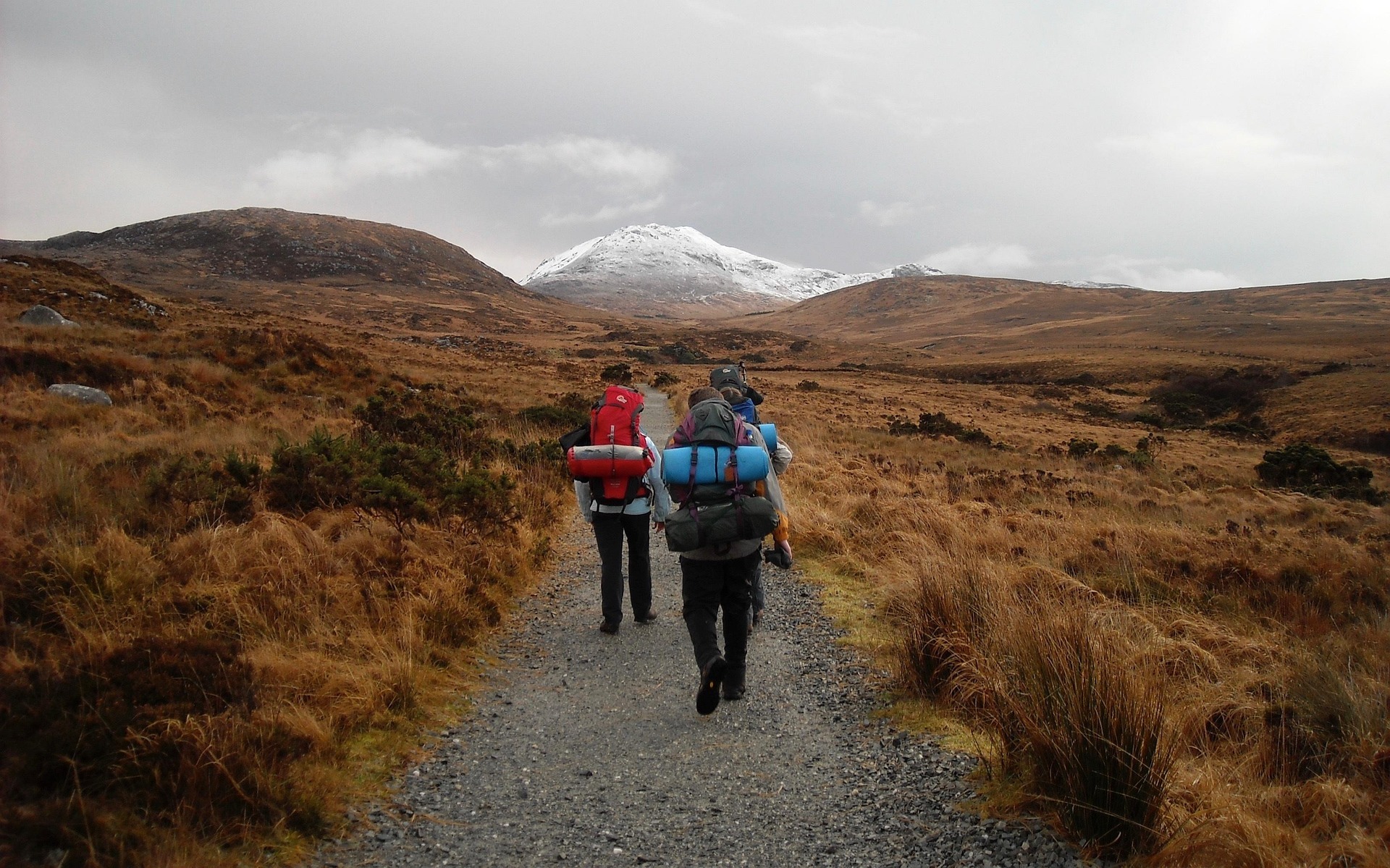 30-Minute Activity Plan: Estimate the Distance
