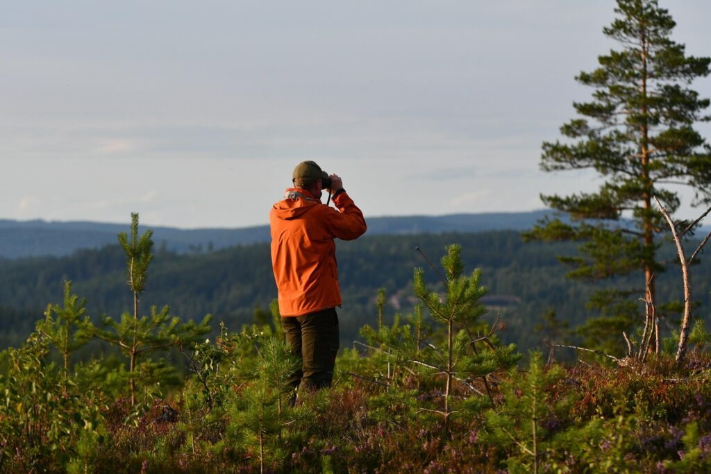 Survival Skills 10 scouts nature activities