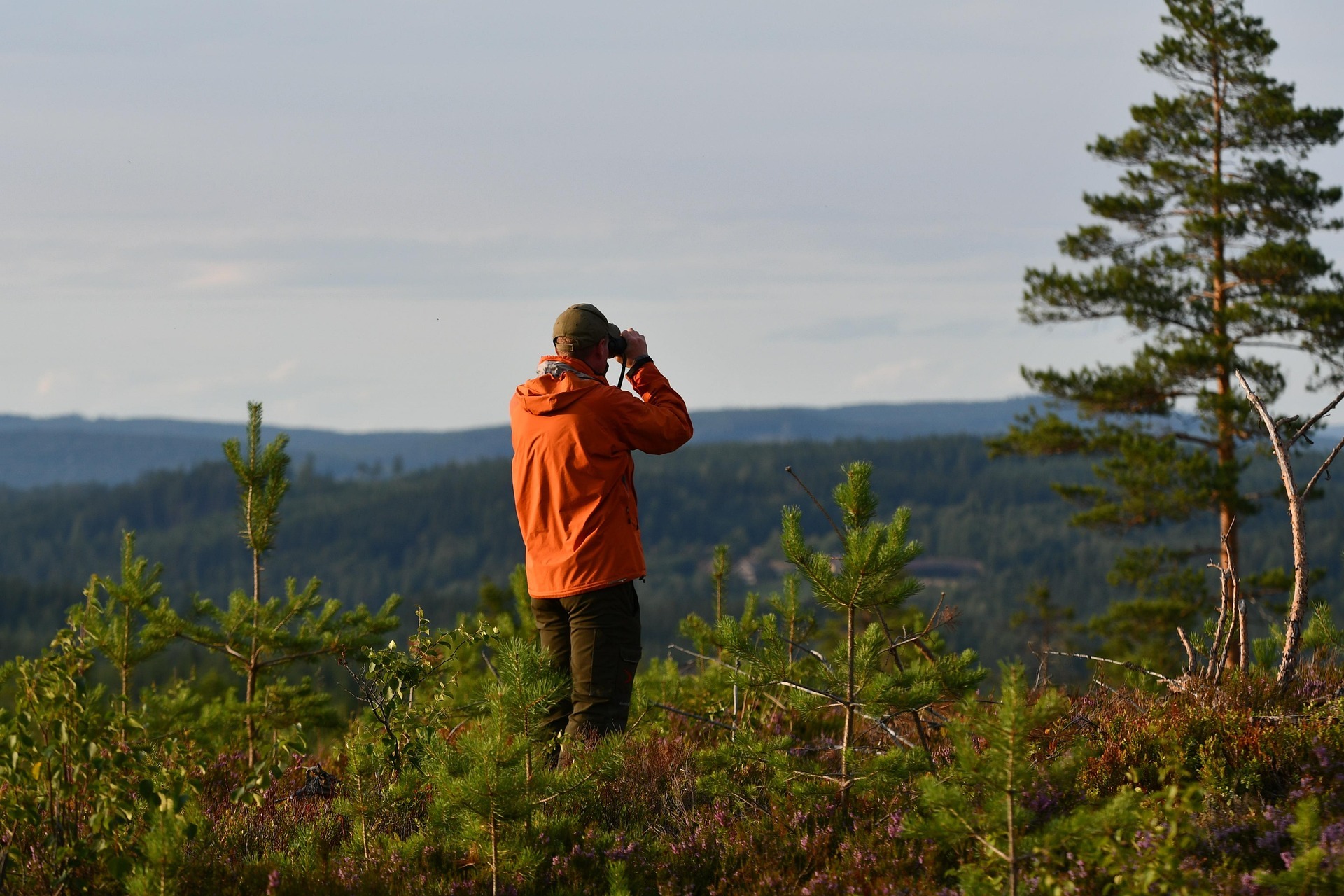 Scouts Nature Activities: Fun Ways to Explore the Outdoors