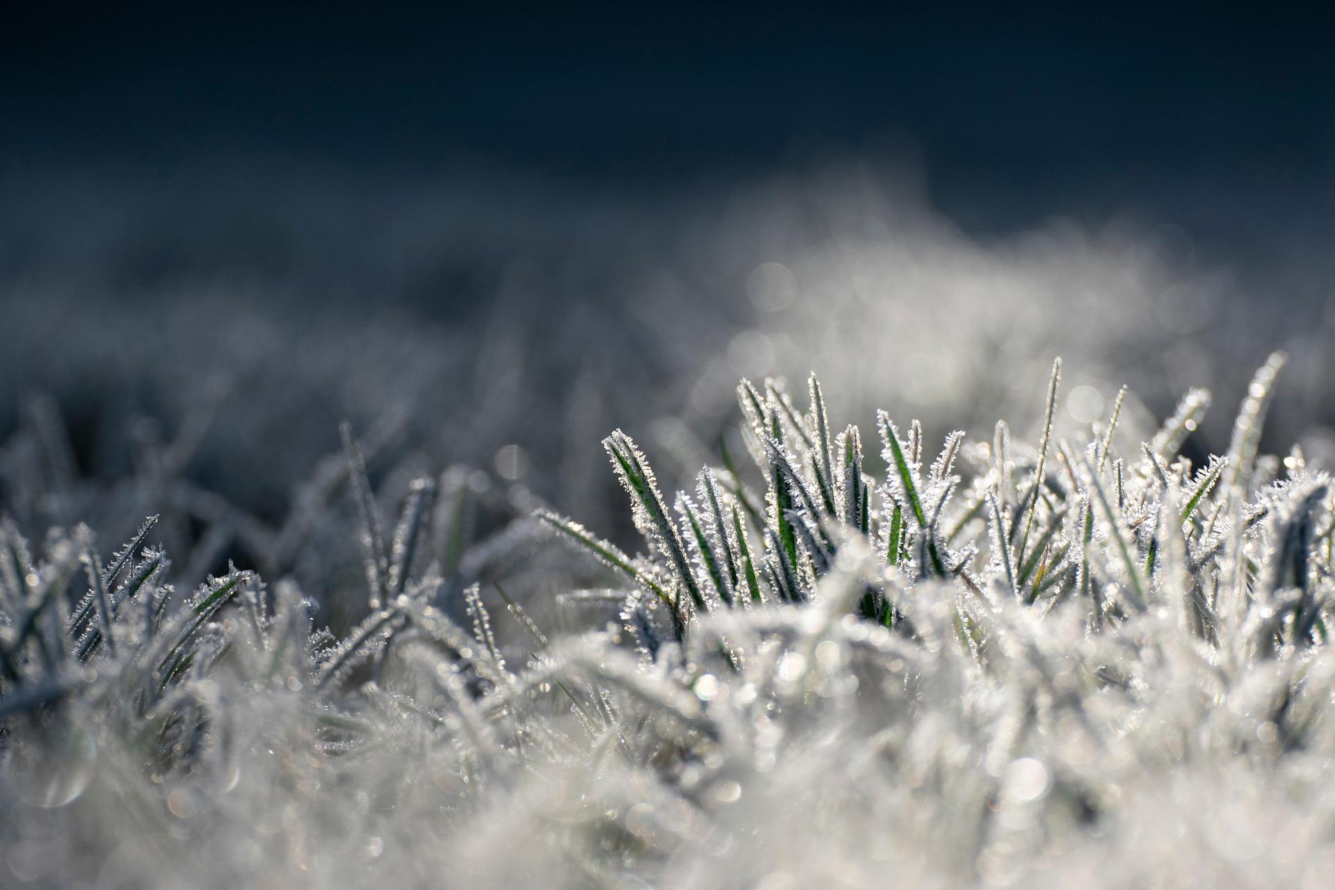 What to Do If Someone Gets Hypothermia