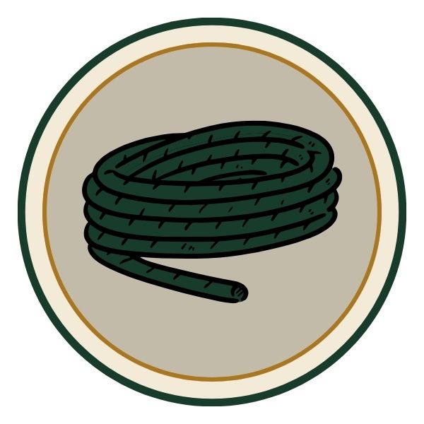 knots explorer
