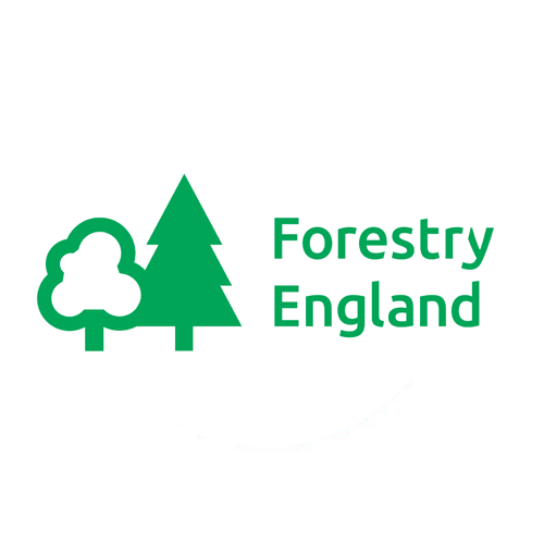 Outdoor Resource Hub 3 Foresty England